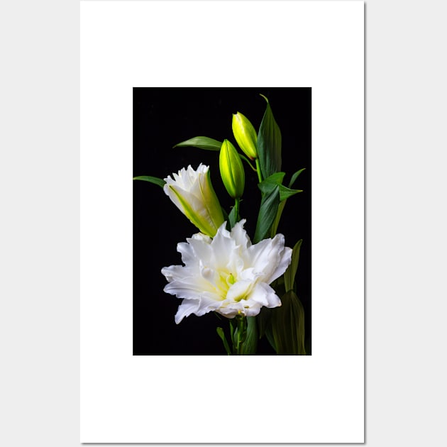 Blooming Oriental Lily Wall Art by photogarry